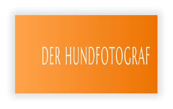 DER HUNDFOTOGRAF